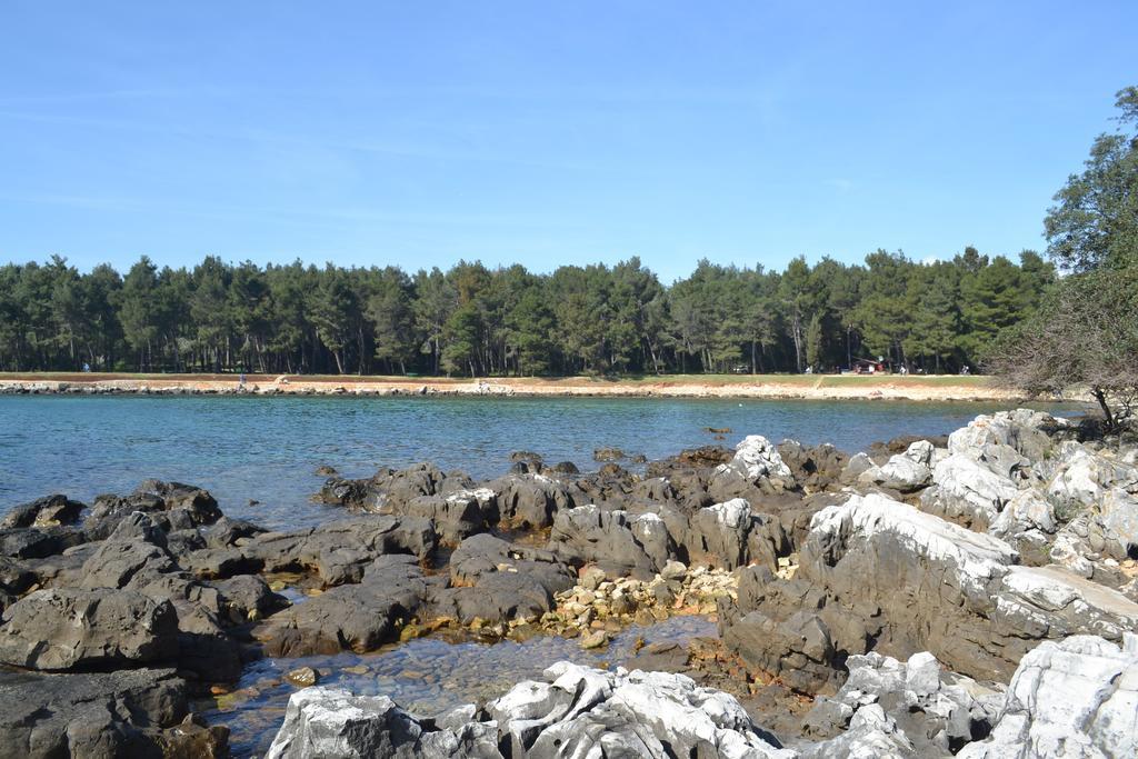 Apartment Iva Rovinj Rum bild